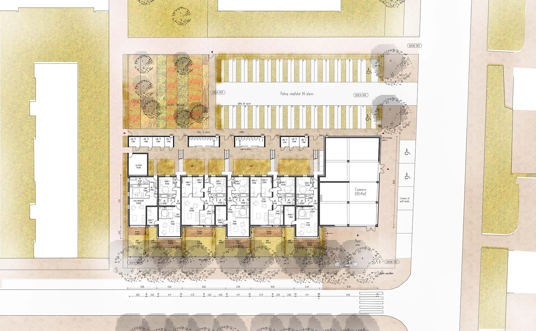 RDC - 15 logements BBC / Colmar