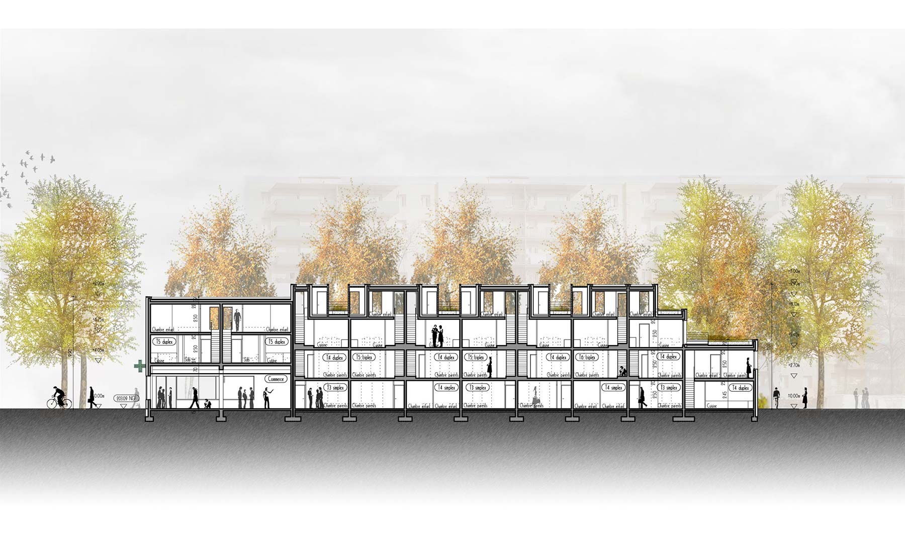 Coupe AA' - 15 logements BBC / Colmar
