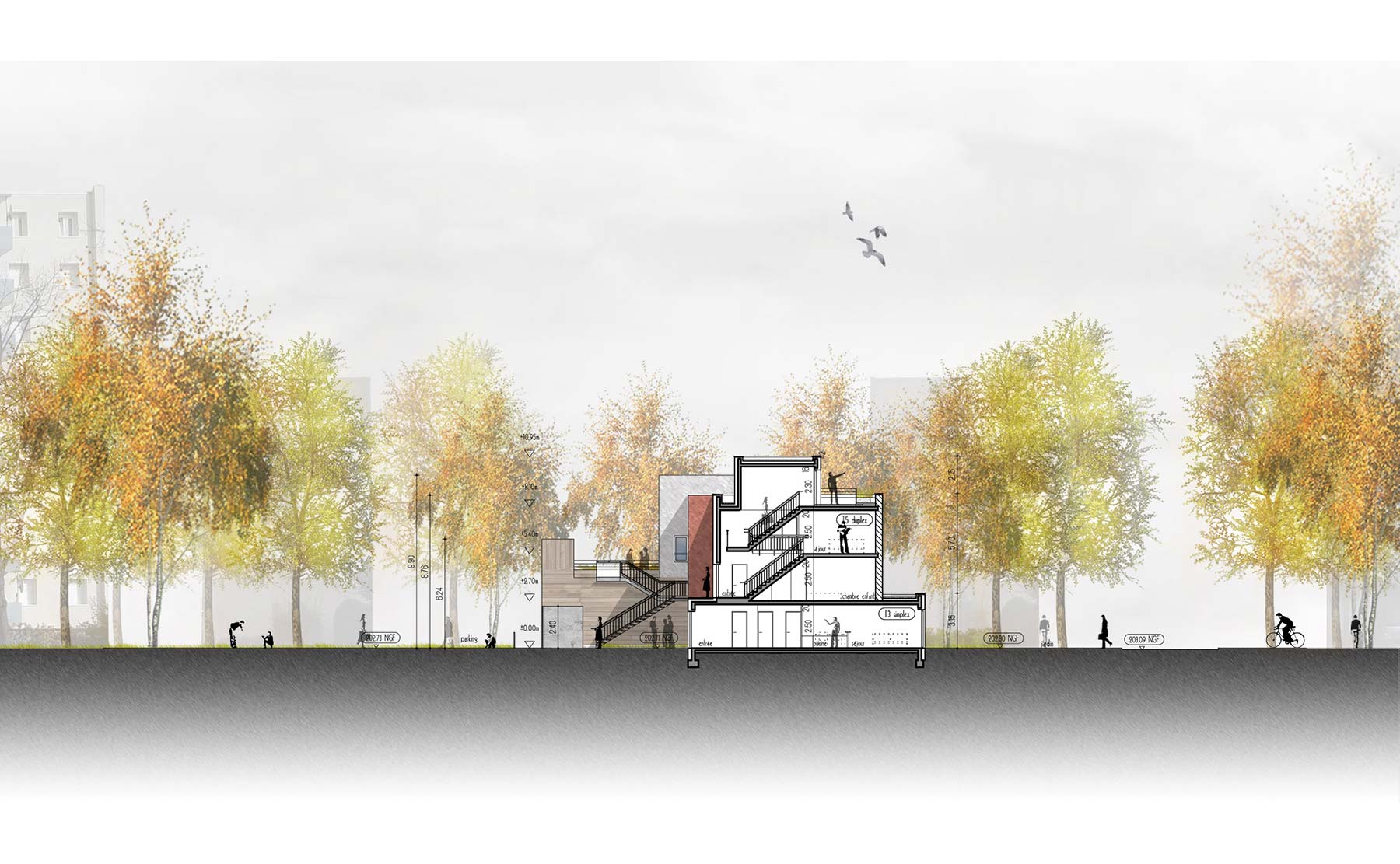 Coupe BB' - 15 logements BBC / Colmar