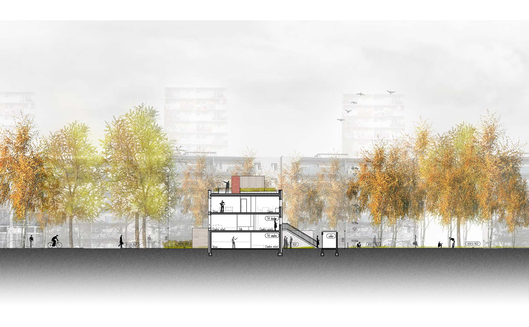 Coupe CC' - 15 logements BBC / Colmar