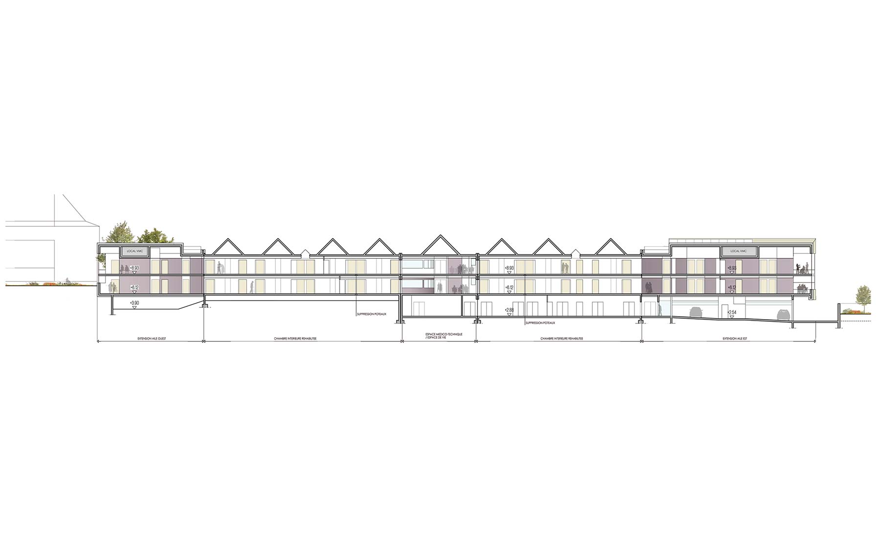 Coupe longitudinale - Maison de Retraite, Restructuration et extension / Soultzmatt