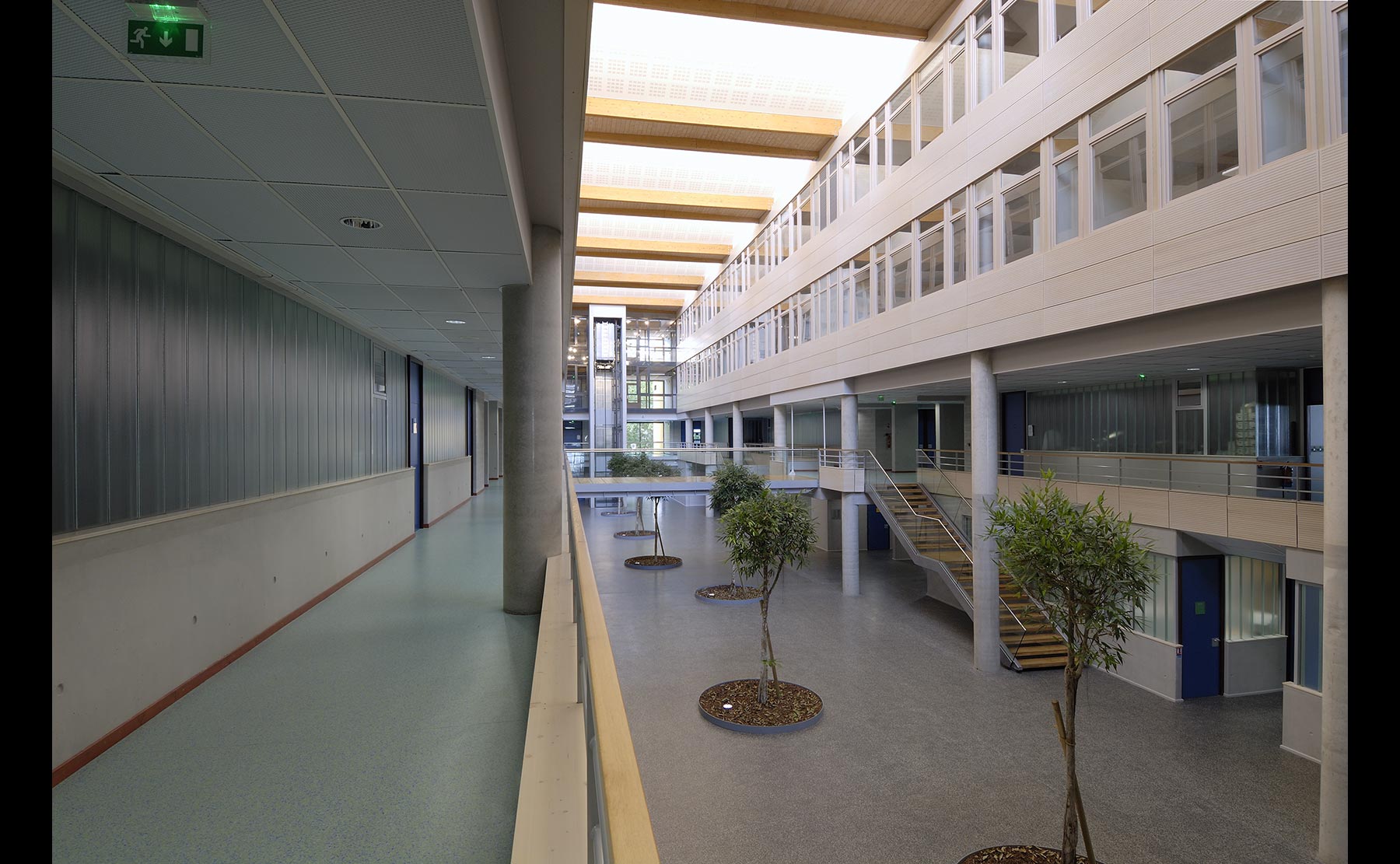 Photo Alain-Marc Oberlé - Lycée Jean Rostand / Strasbourg