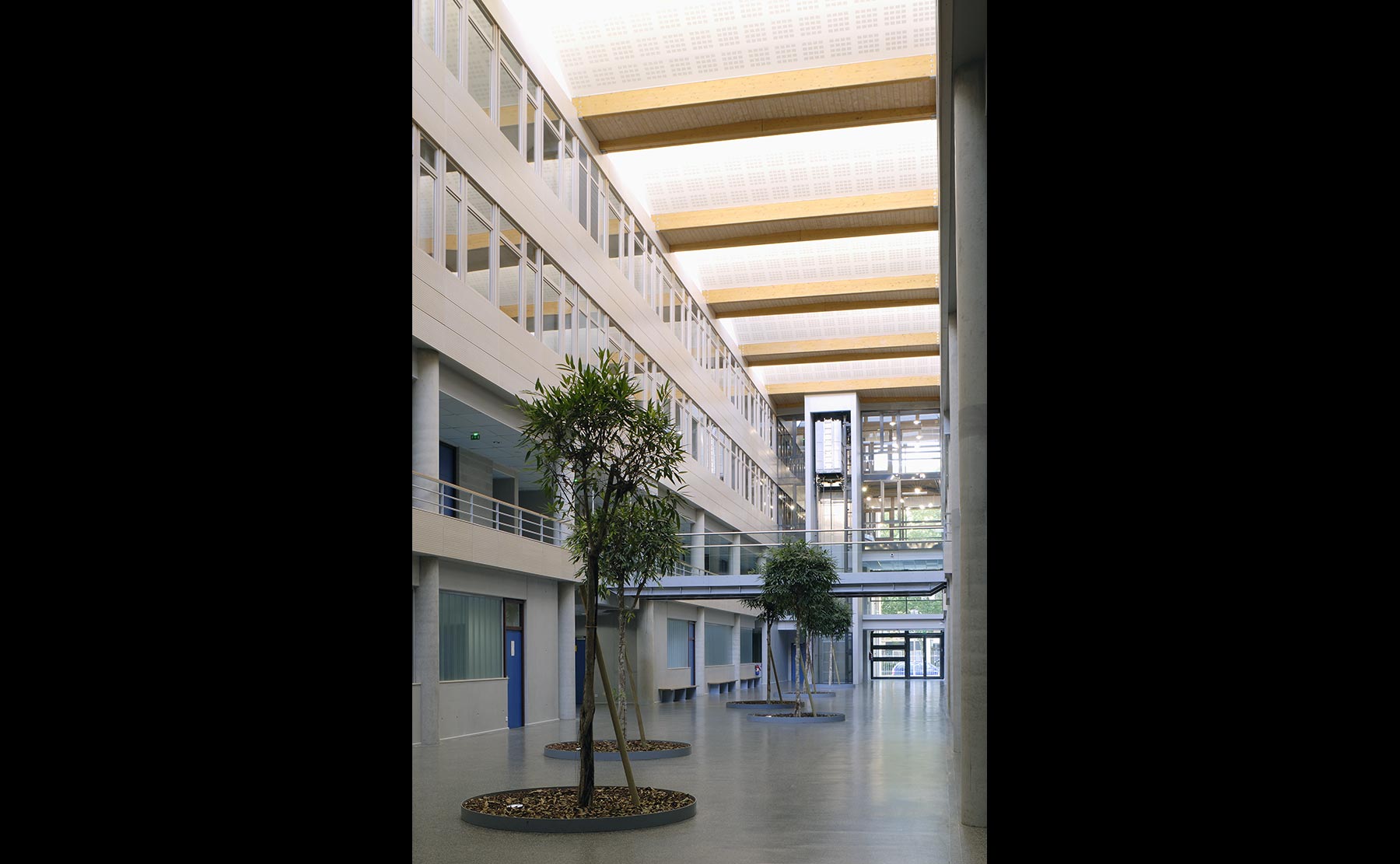 Photo Alain-Marc Oberlé - Lycée Jean Rostand / Strasbourg